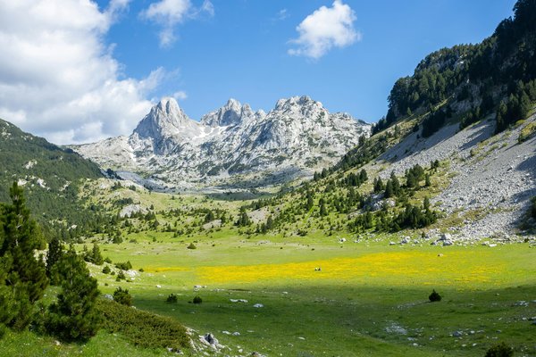 Séjour été alpes tout inclus : évasion et détente assurées